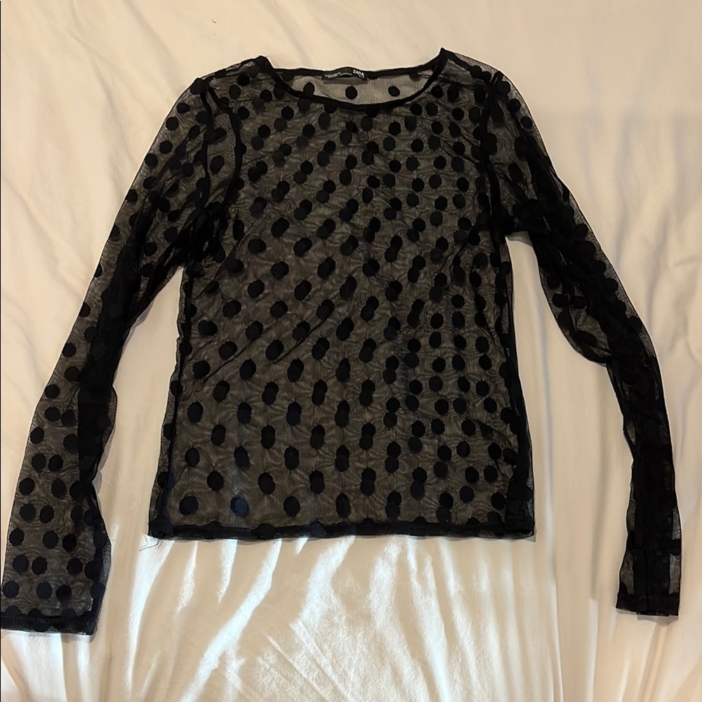 Zara Black Sheer Fitted Long Sleeve Blouse